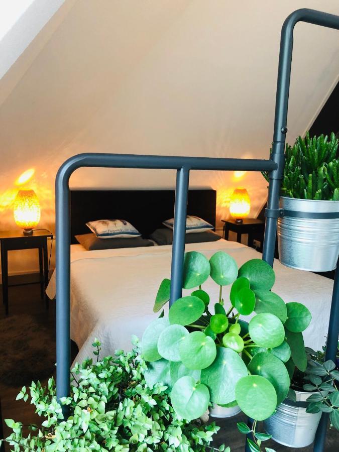Happy Bentveld Guesthouse エクステリア 写真